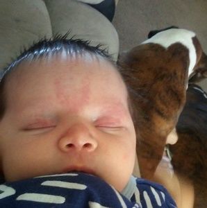 Meet your Posher, Janel